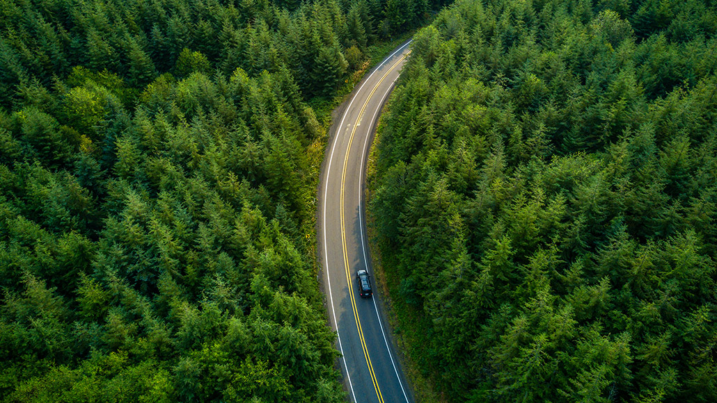 car driving through woods