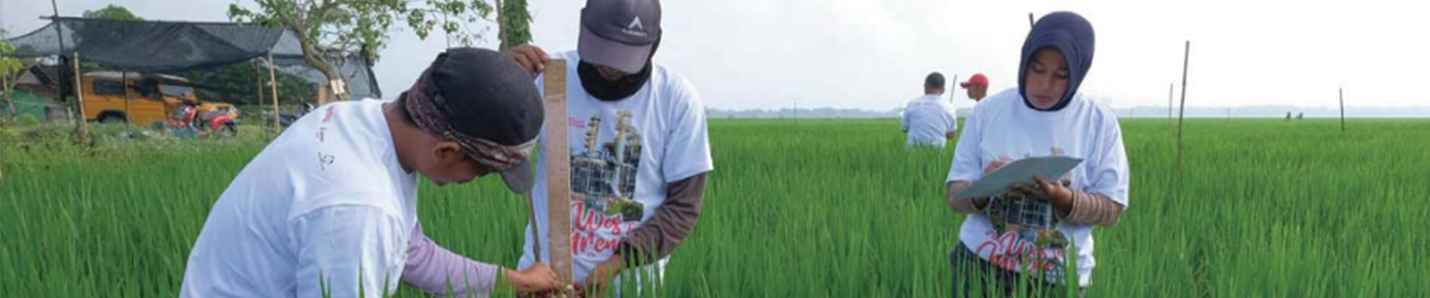 Support Indonesian farmers through education