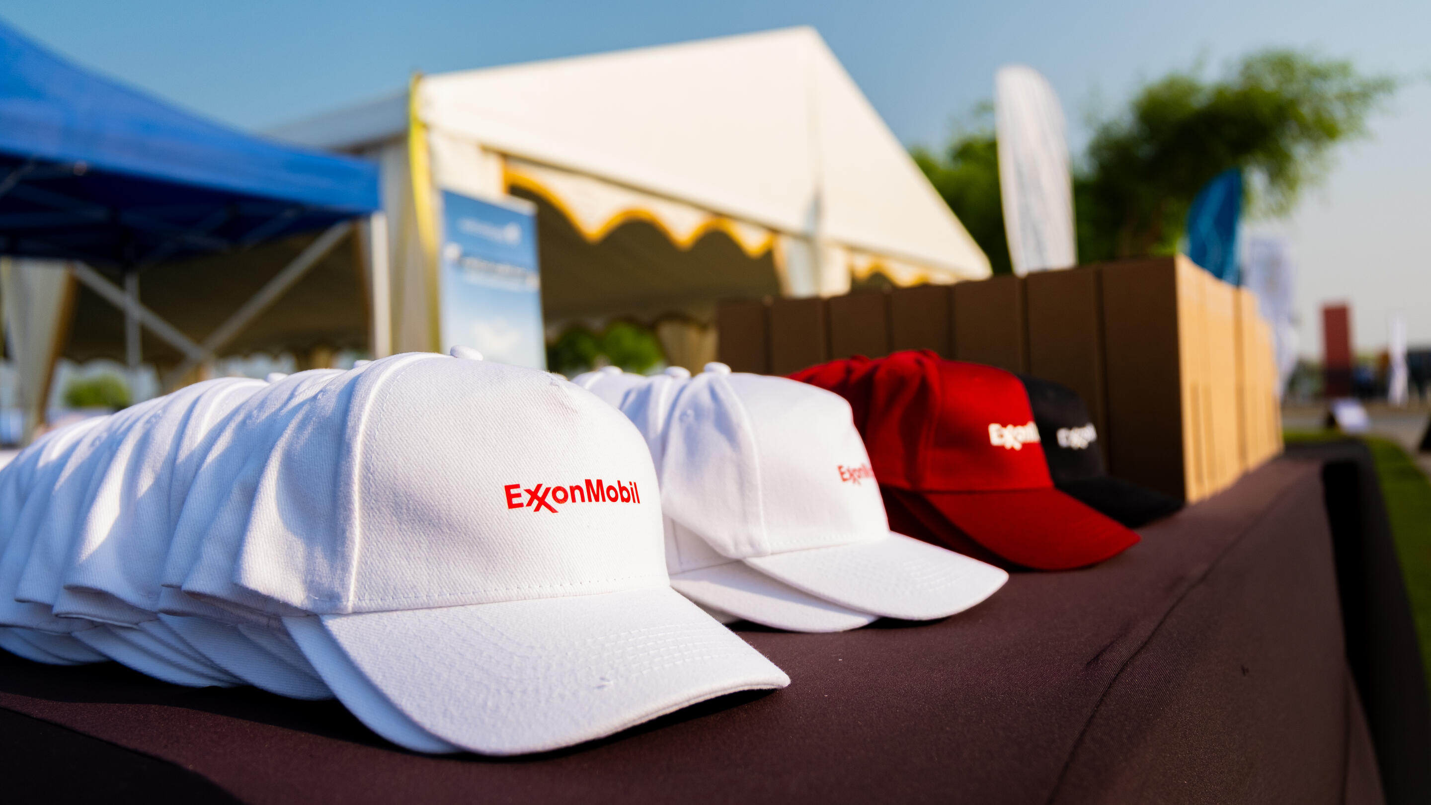 The cleanup aligns with Qatar National Vision 2030, promoting environmental responsibility.