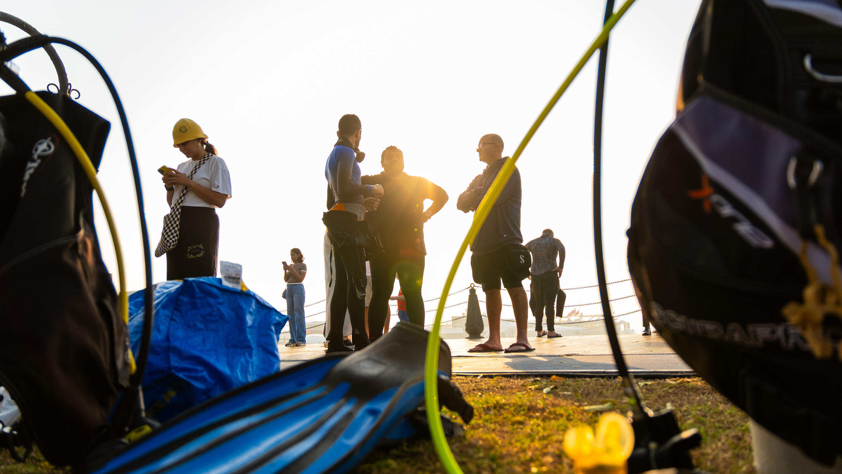 Old Doha Port hosted a major environmental initiative to restore its seabed and protect marine life.