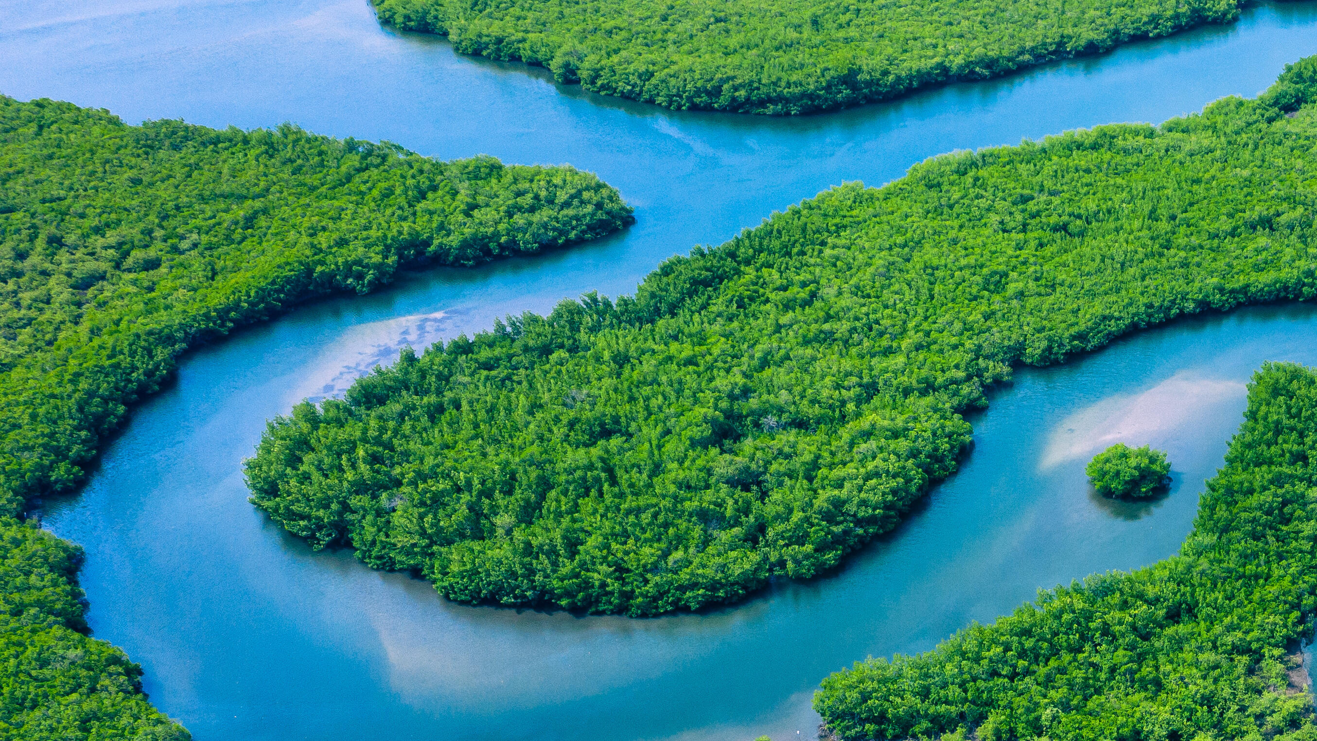 A lush green mangrove forest interspersed with winding blue rivers and waterways. The dense vegetation forms various patterns and shapes, creating islands and peninsulas within the water.