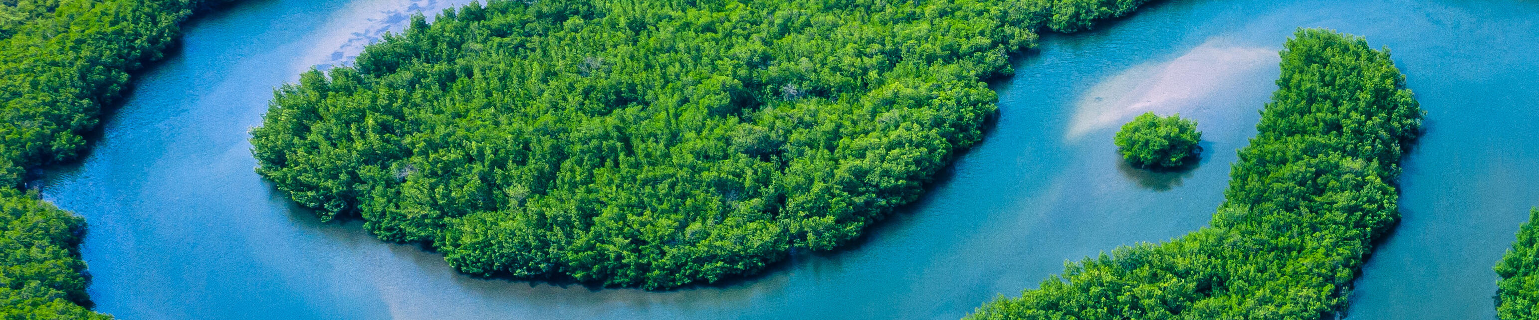 A lush green mangrove forest interspersed with winding blue rivers and waterways. The dense vegetation forms various patterns and shapes, creating islands and peninsulas within the water.