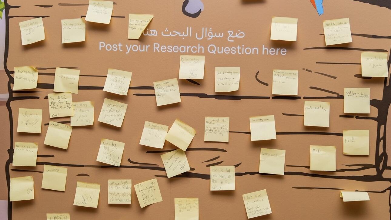 Posting big questions on the mangrove research wall, encouraging curiosity and scientific thinking
