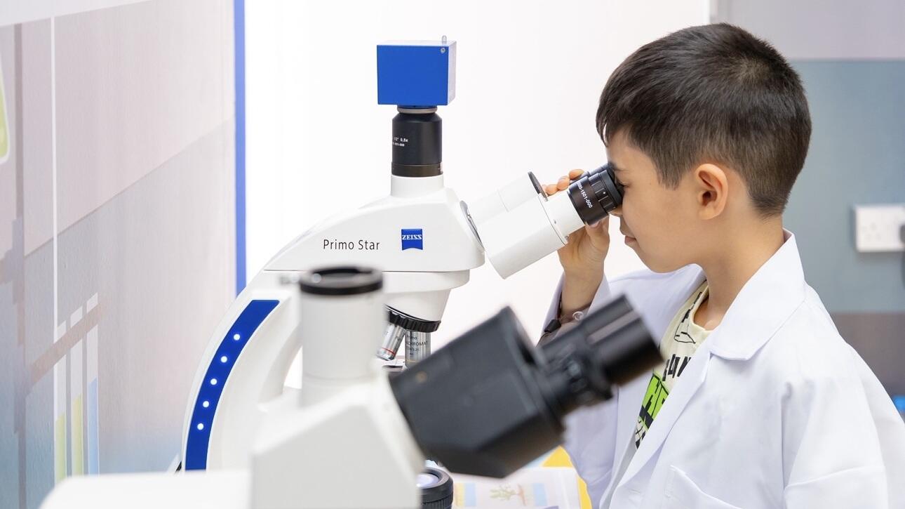 Children take a closer look at mangrove soil samples under the microscope