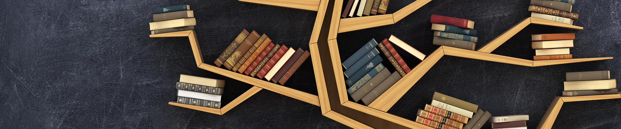 livros numa estante de forma geométrica