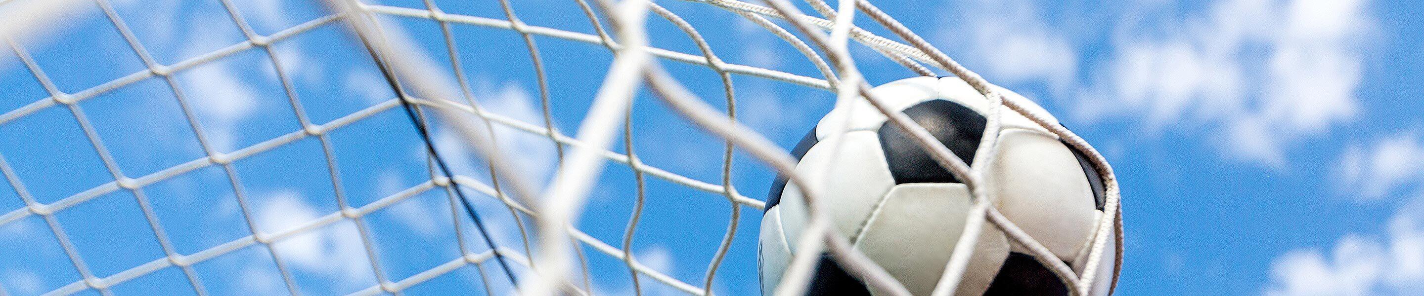 Soccer ball against the net.