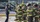 group of firefighters