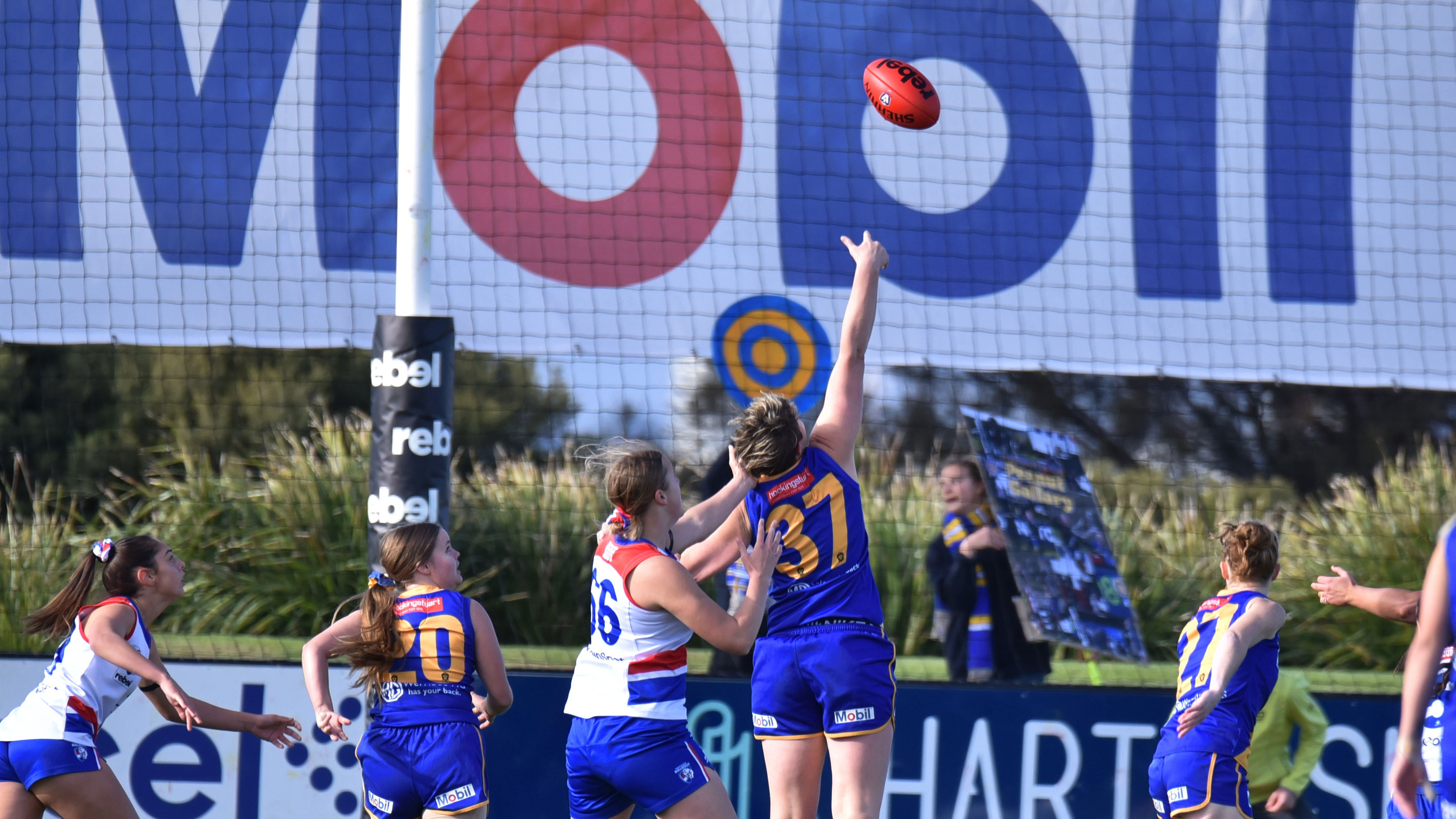 Cheering on Williamstown FC's VFLW team!