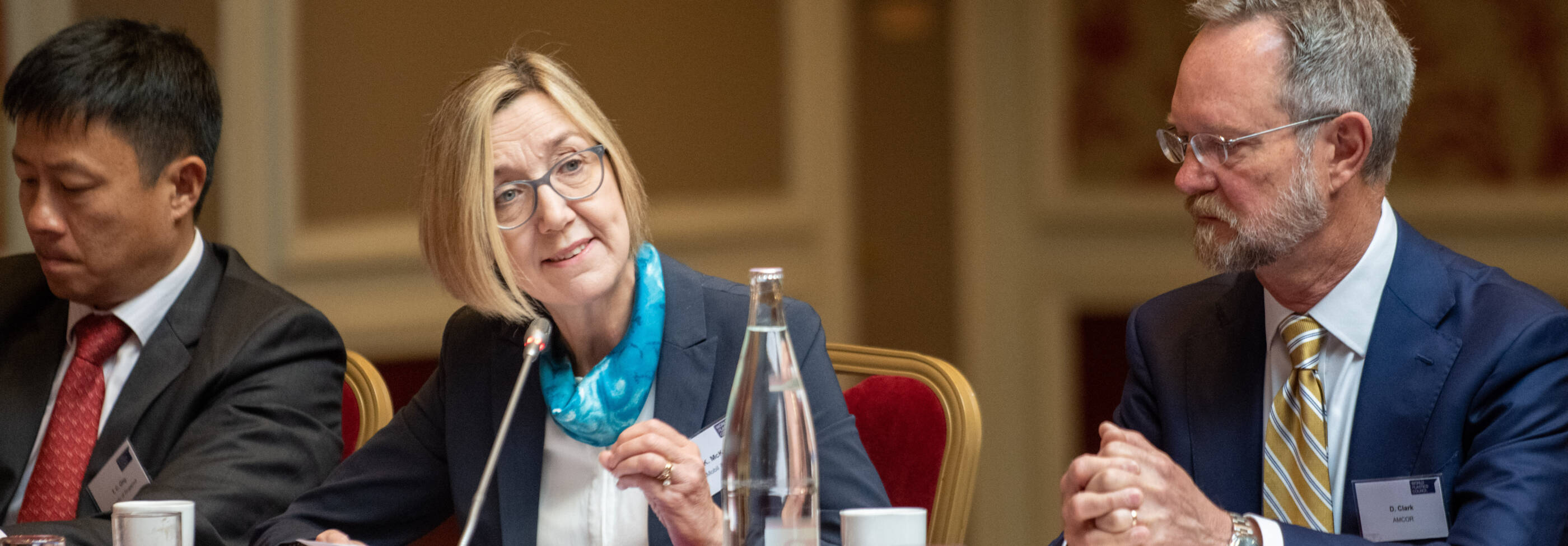 Karen McKee speaks at the World Plastics Council meeting in Paris, France.