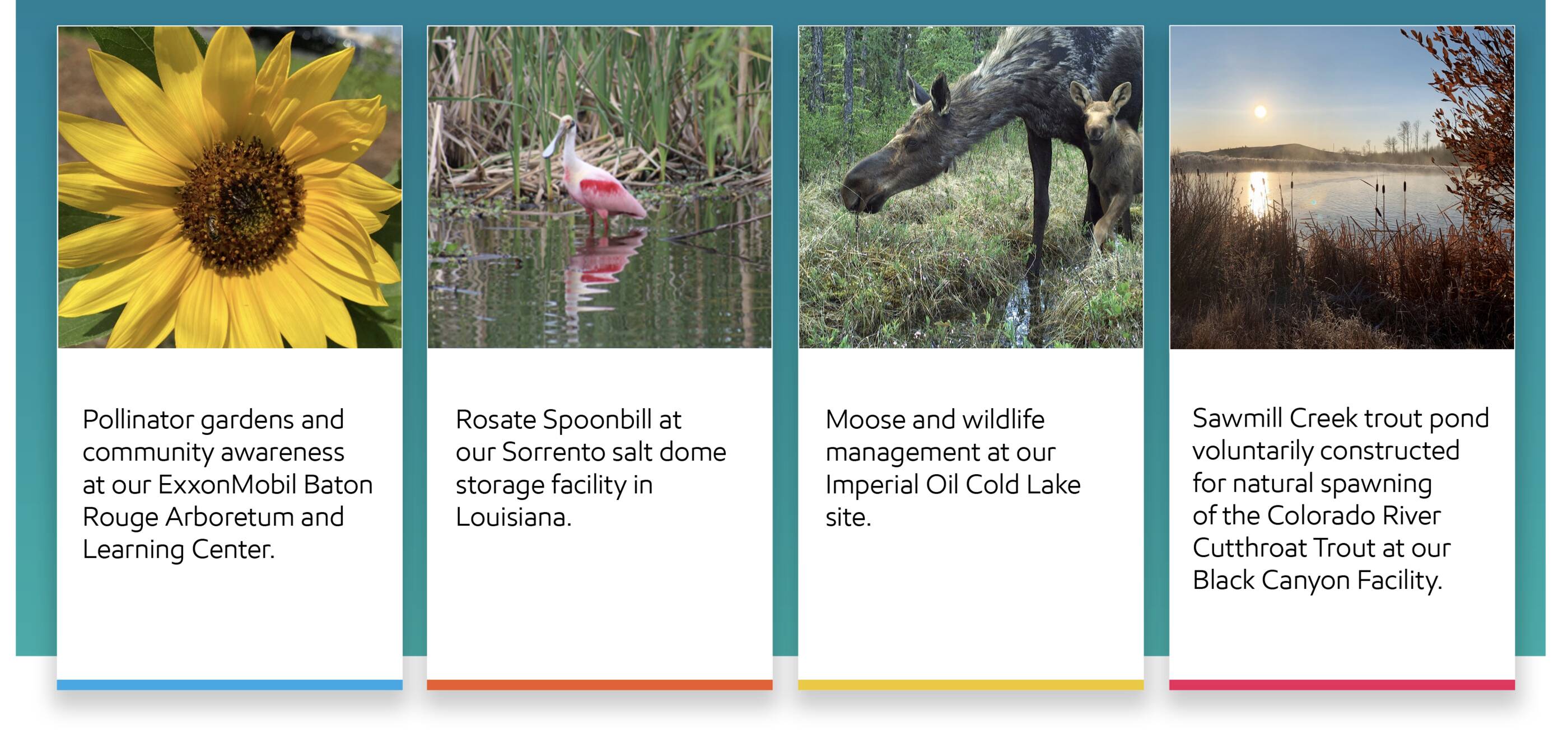 30 years of habitat conservation with the Wildlife Habitat Council