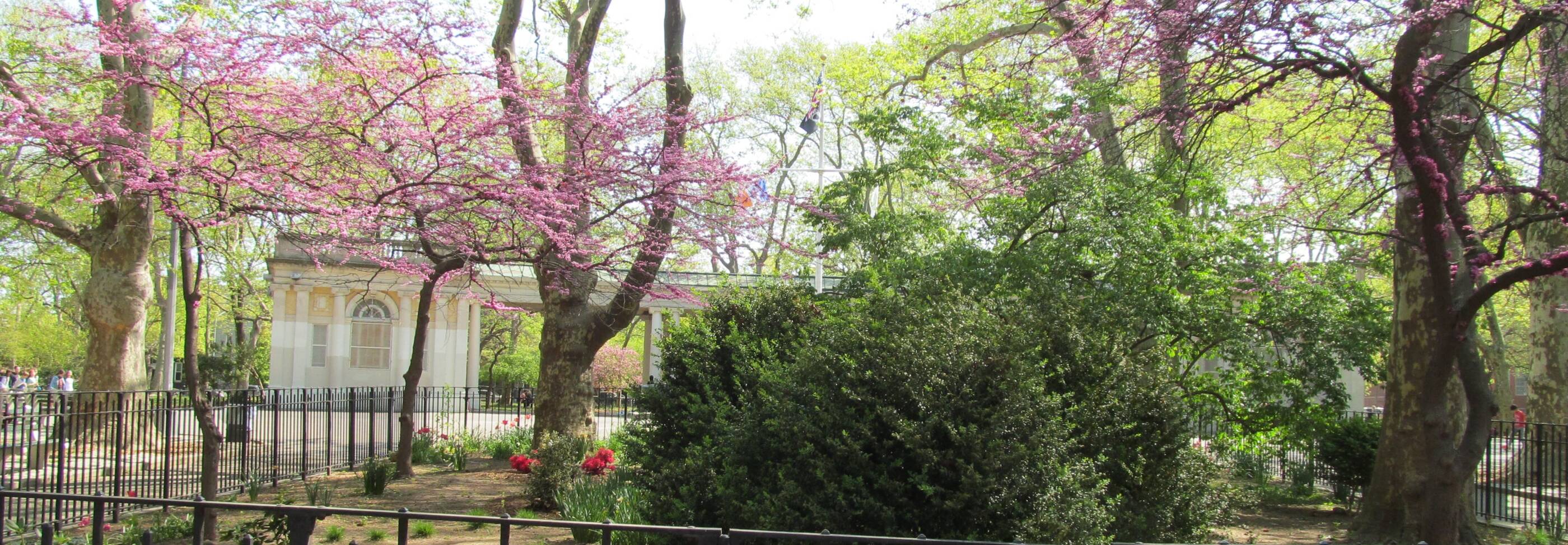 Image of flowers and trees in spring, Domino Park in Brooklyn, New York.