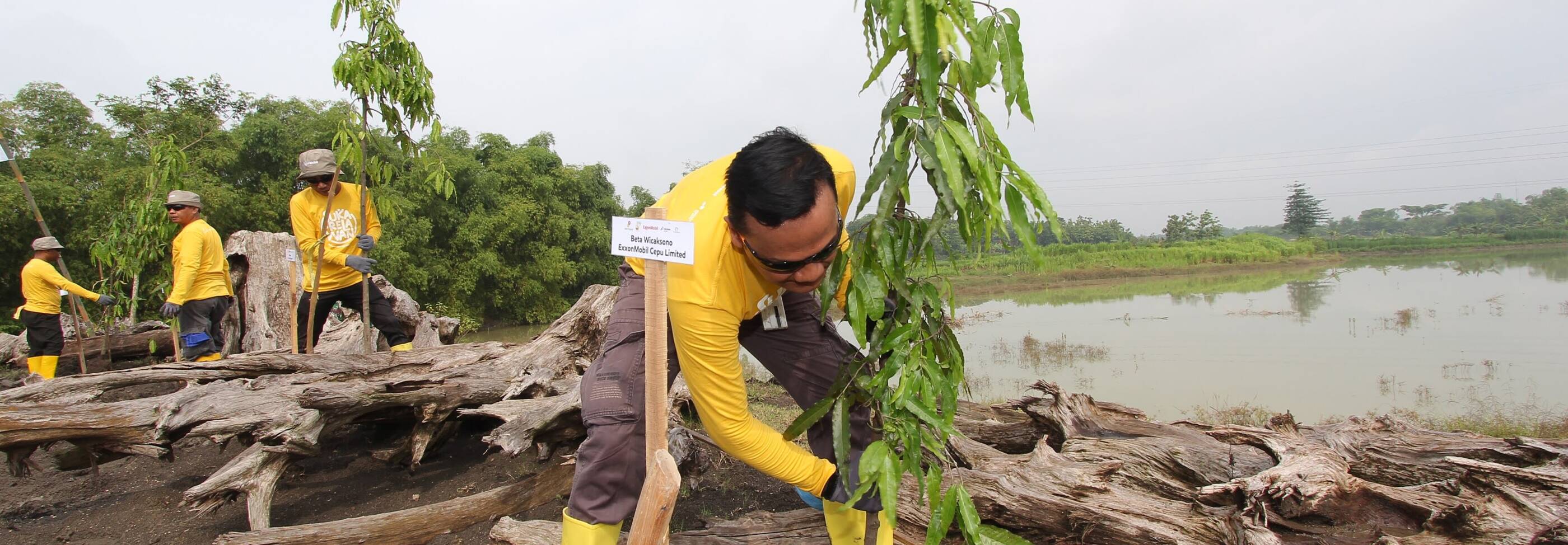 Men planting trees as Community Illustration