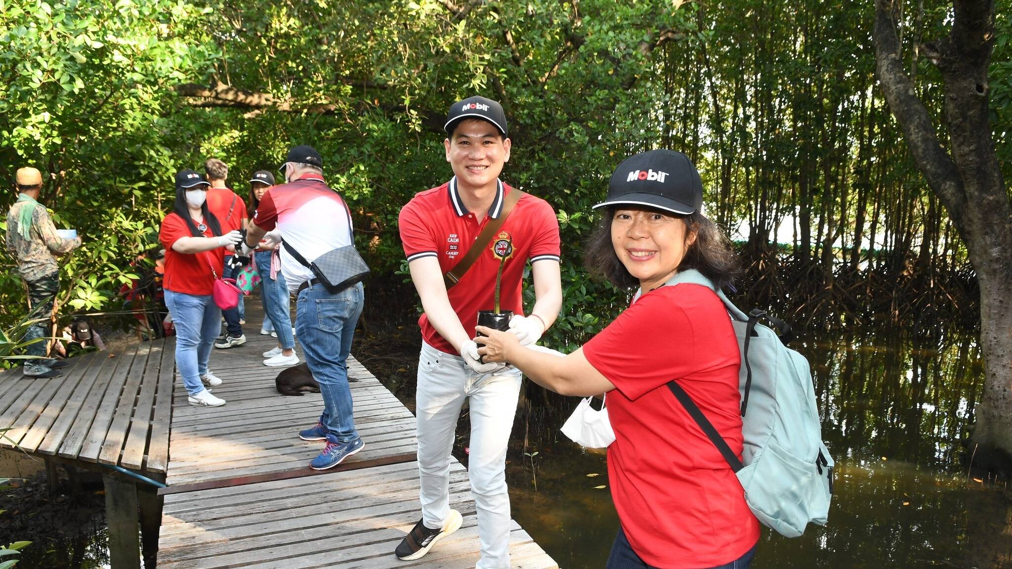ExxonMobil employees plant mangrove young trees