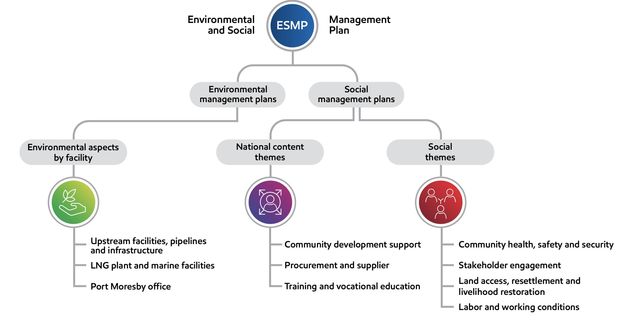 Environmental and social management plan