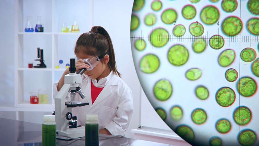 What algae-powered fuels mean to kids