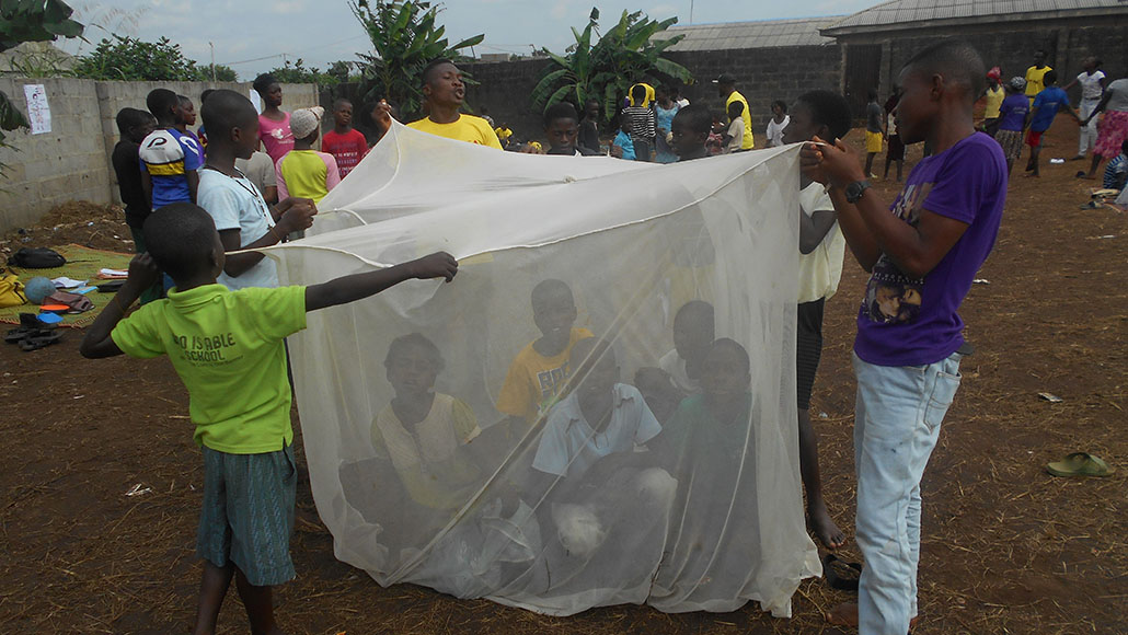 Children in a mosquito net