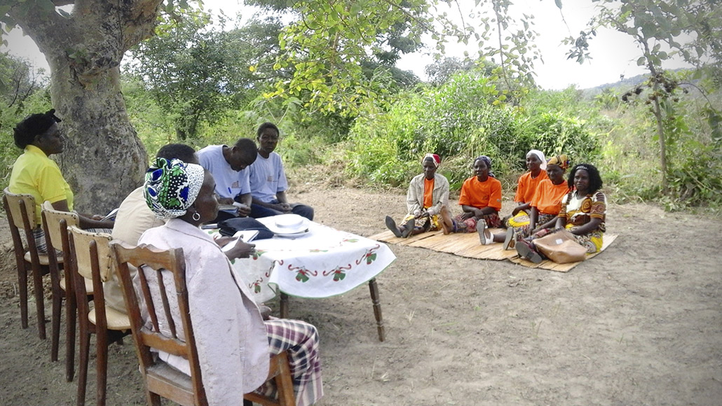 Women in Mozambique participate in the PEMA program to learn about commercial agriculture.