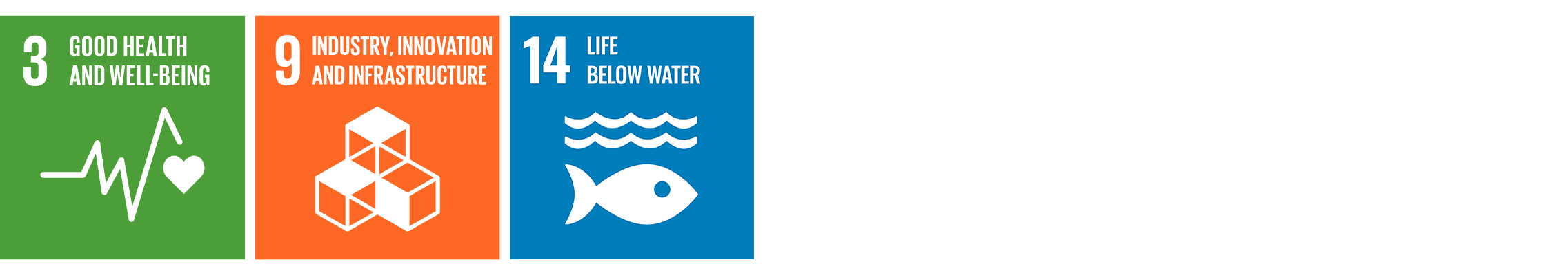 Image United Nations Sustainable Development Goals related to this content.
