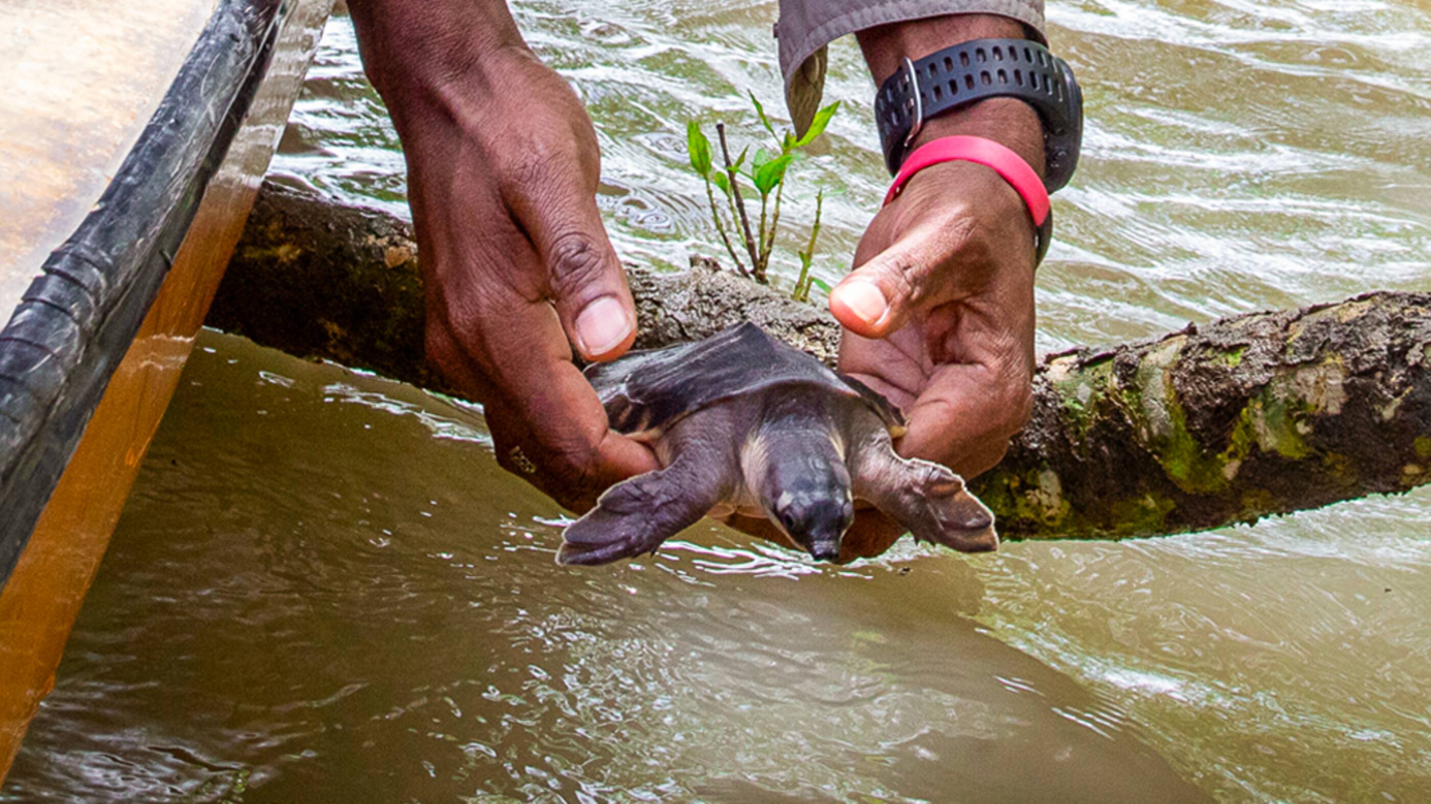 Pursuing environmental excellence